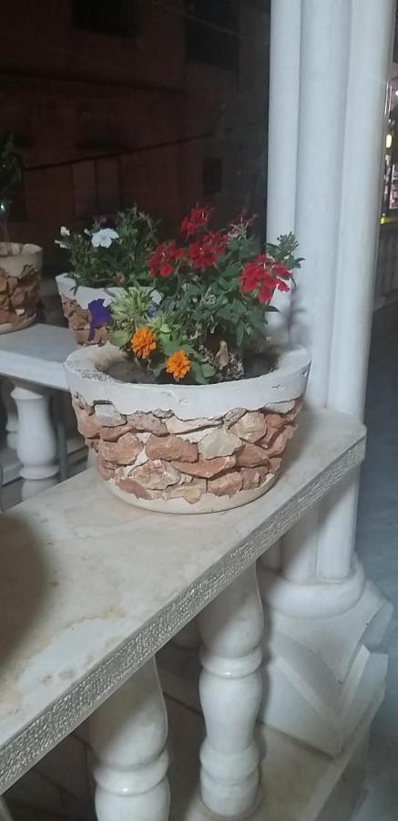 Zohara Villa Nahf Ngoại thất bức ảnh